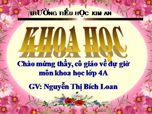Bài 23. Sơ đồ vòng tuần hoàn của nước trong tự nhiên