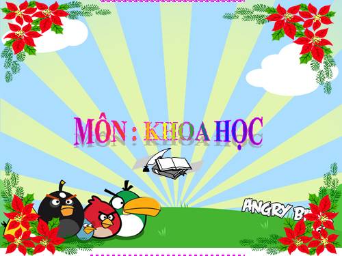 Bài 29. Tiết kiệm nước
