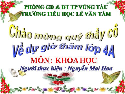 Bài 29. Tiết kiệm nước