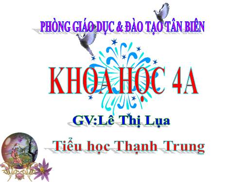 Bài 26. Nguyên nhân làm nước bị ô nhiễm