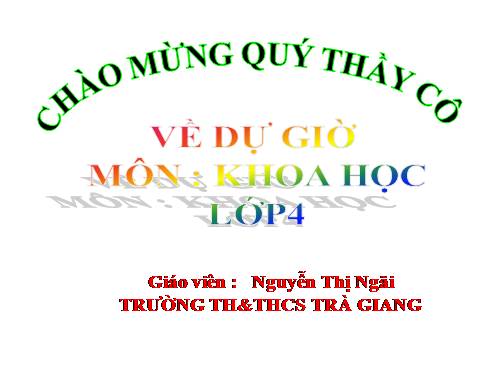 Bài 26. Nguyên nhân làm nước bị ô nhiễm