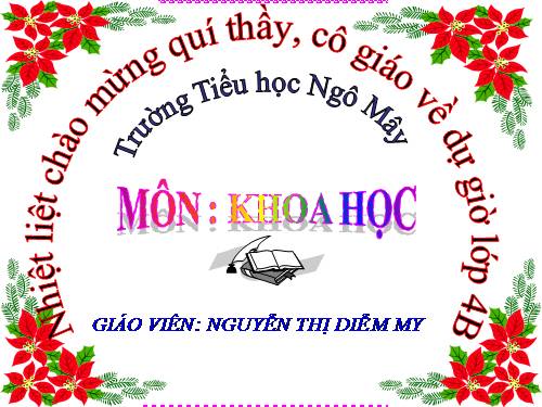 Bài 26. Nguyên nhân làm nước bị ô nhiễm