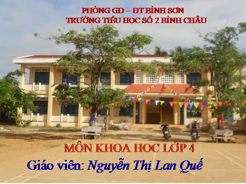 Bài 24. Nước cần cho sự sống