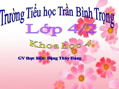 Bài 7. Tại sao cần ăn phối hợp nhiều loại thức ăn?