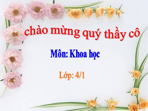 Bài 20. Nước có những tính chất gì?