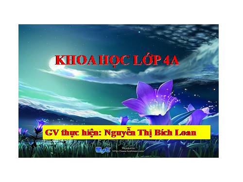 Bài 26. Nguyên nhân làm nước bị ô nhiễm