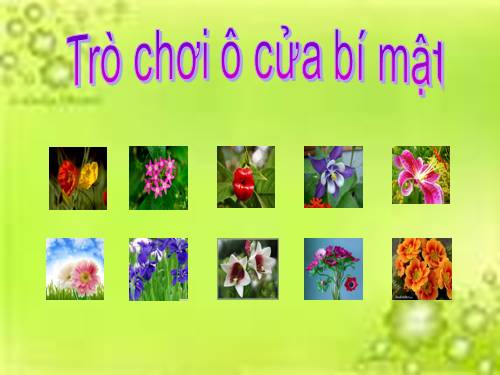 trò chơi ô cửa bí mật