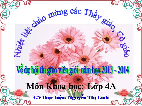 Bài 26. Nguyên nhân làm nước bị ô nhiễm