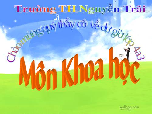 Bài 17. Phòng tránh tai nạn đuối nước
