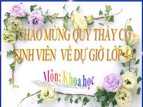 Bài 13. Phòng bệnh béo phì