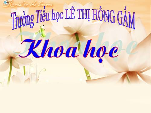 Bài 15. Bạn cảm thấy thế nào khi bị bệnh?