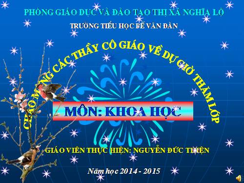 Bài 16. Ăn uống khi bị bệnh