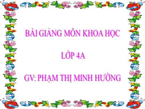 Bài 28. Bảo vệ nguồn nước
