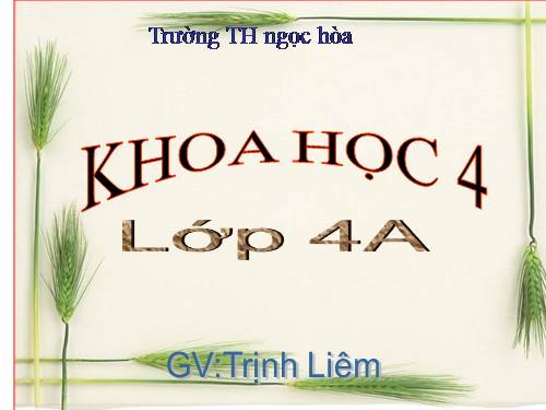 Bài 24. Nước cần cho sự sống