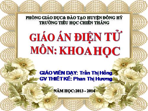 Bài 53. Các nguồn nhiệt