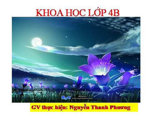Bài 26. Nguyên nhân làm nước bị ô nhiễm