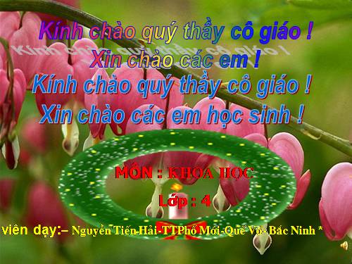 Bài 49. Ánh sáng và việc bảo vệ đôi mắt