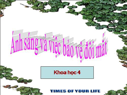 Bài 49. Ánh sáng và việc bảo vệ đôi mắt
