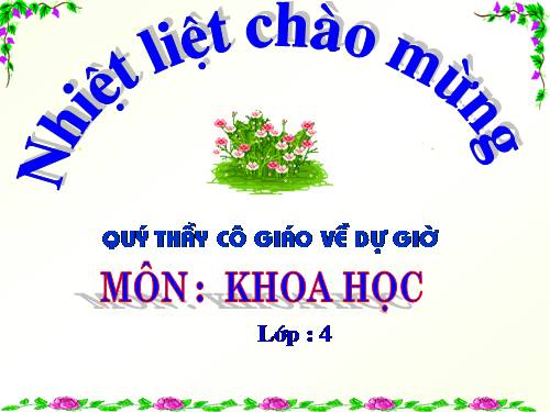 Bài 66. Chuỗi thức ăn trong tự nhiên