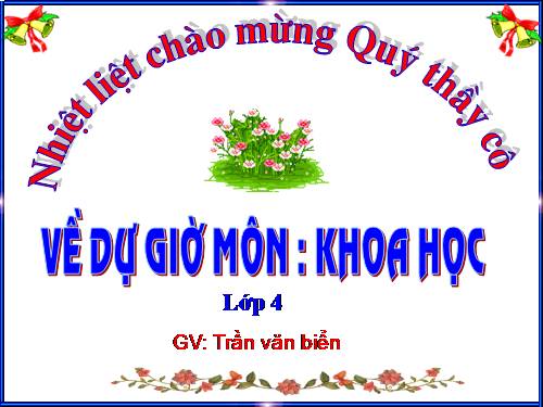 Bài 3. Trao đổi chất ở người (tiếp theo)