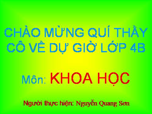 Bài 63. Động vật ăn gì để sống?