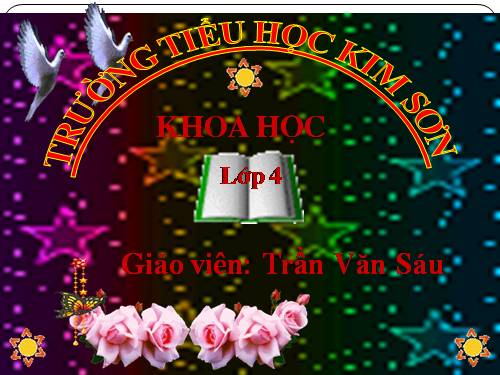Bài 60. Nhu cầu không khí của thực vật