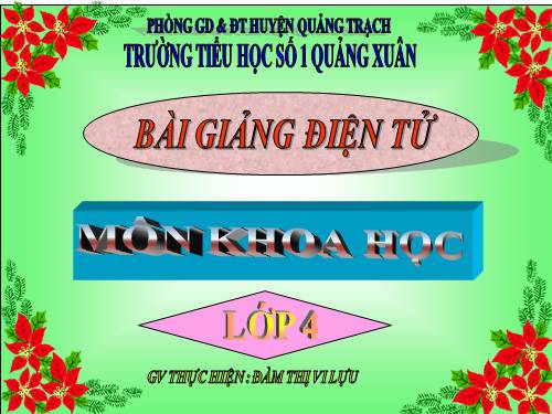 Bài 61. Trao đổi chất ở thực vật