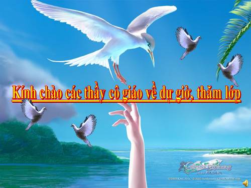 Bài 57. Thực vật cần gì để sống?