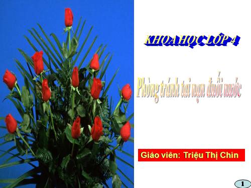 Bài 17. Phòng tránh tai nạn đuối nước