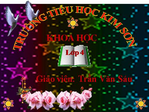 Bài 57. Thực vật cần gì để sống?