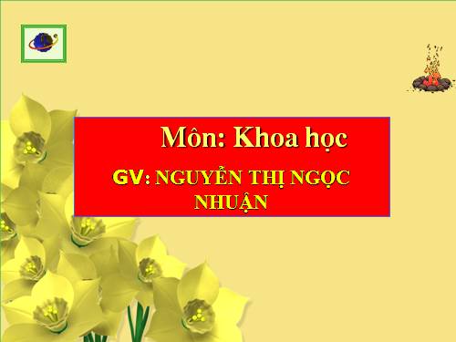 Bài 22. Mây được hình thành như thế nào? Mưa từ đâu ra?