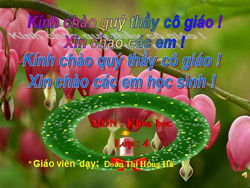 Bài 58. Nhu cầu nước của thực vật