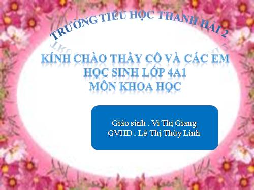 Bài 49. Ánh sáng và việc bảo vệ đôi mắt