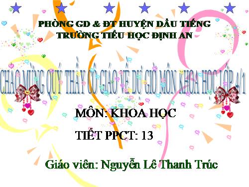 Bài 13. Phòng bệnh béo phì