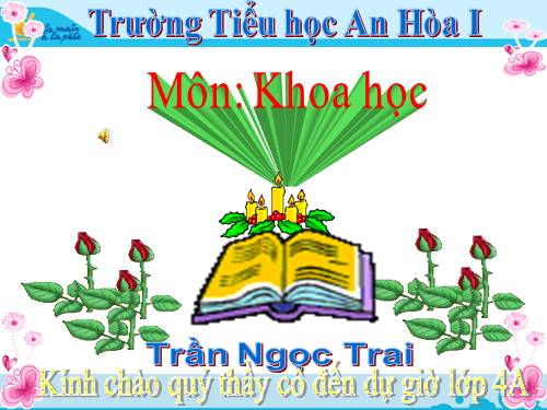 Bài 45. Ánh sáng