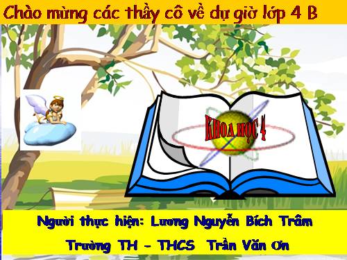 Bài 26. Nguyên nhân làm nước bị ô nhiễm