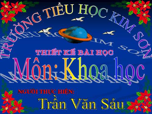 Bài 48. Ánh sáng cần cho sự sống (tiếp theo)