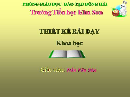 Bài 47. Ánh sáng cần cho sự sống