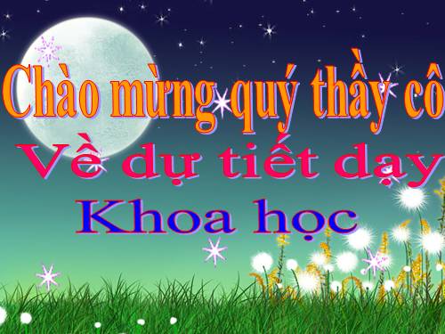 Bài 43. Âm thanh trong cuộc sống