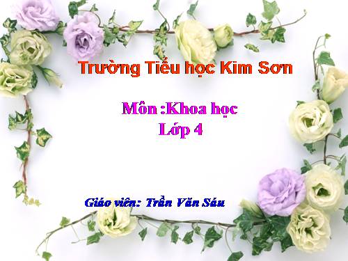 Bài 45. Ánh sáng