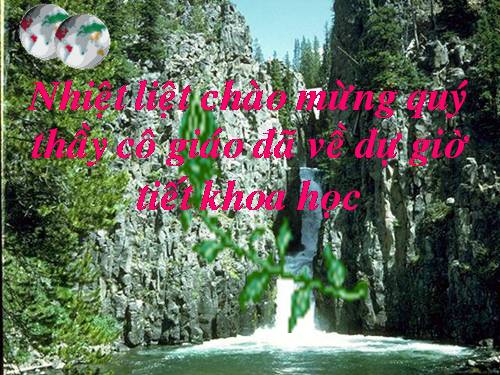 Bài 48. Ánh sáng cần cho sự sống (tiếp theo)