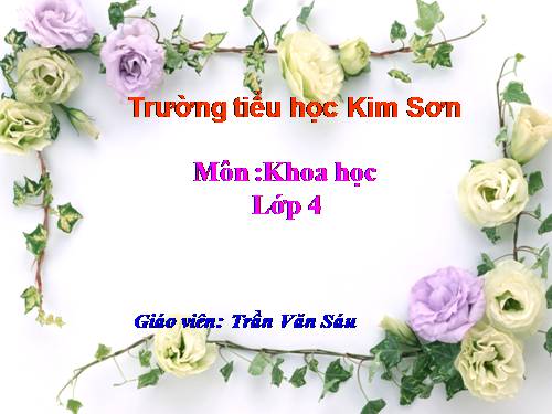 Bài 44. Âm thanh trong cuộc sống (tiếp theo)