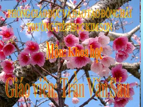 Bài 43. Âm thanh trong cuộc sống