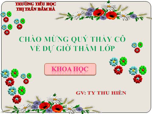 Bài 39. Không khí bị ô nhiễm