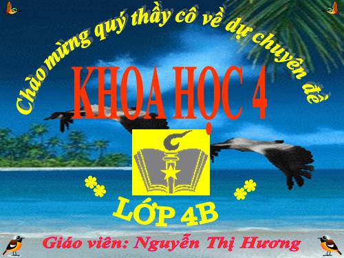 Bài 31. Không khí có những tính chất gì?