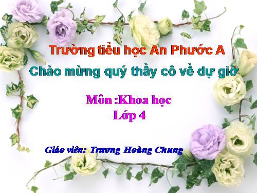 Bài 44. Âm thanh trong cuộc sống (tiếp theo)