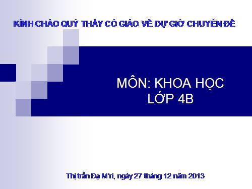 Bài 38. Gió nhẹ, gió mạnh. Phòng chống bão