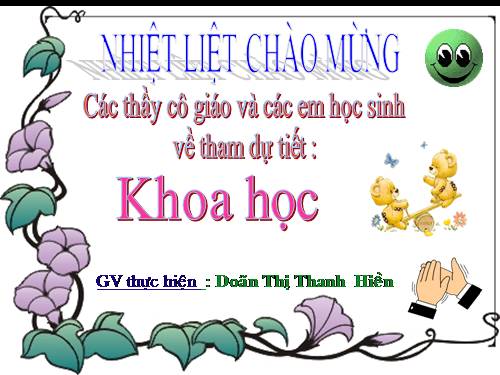 Bài 17. Phòng tránh tai nạn đuối nước