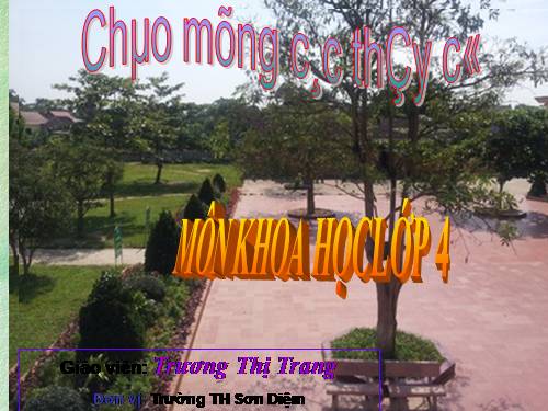 Bài 38. Gió nhẹ, gió mạnh. Phòng chống bão