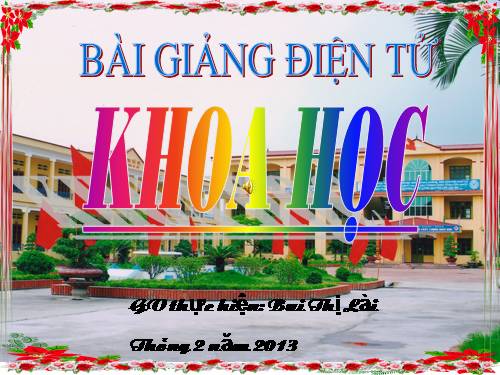 Bài 47. Ánh sáng cần cho sự sống